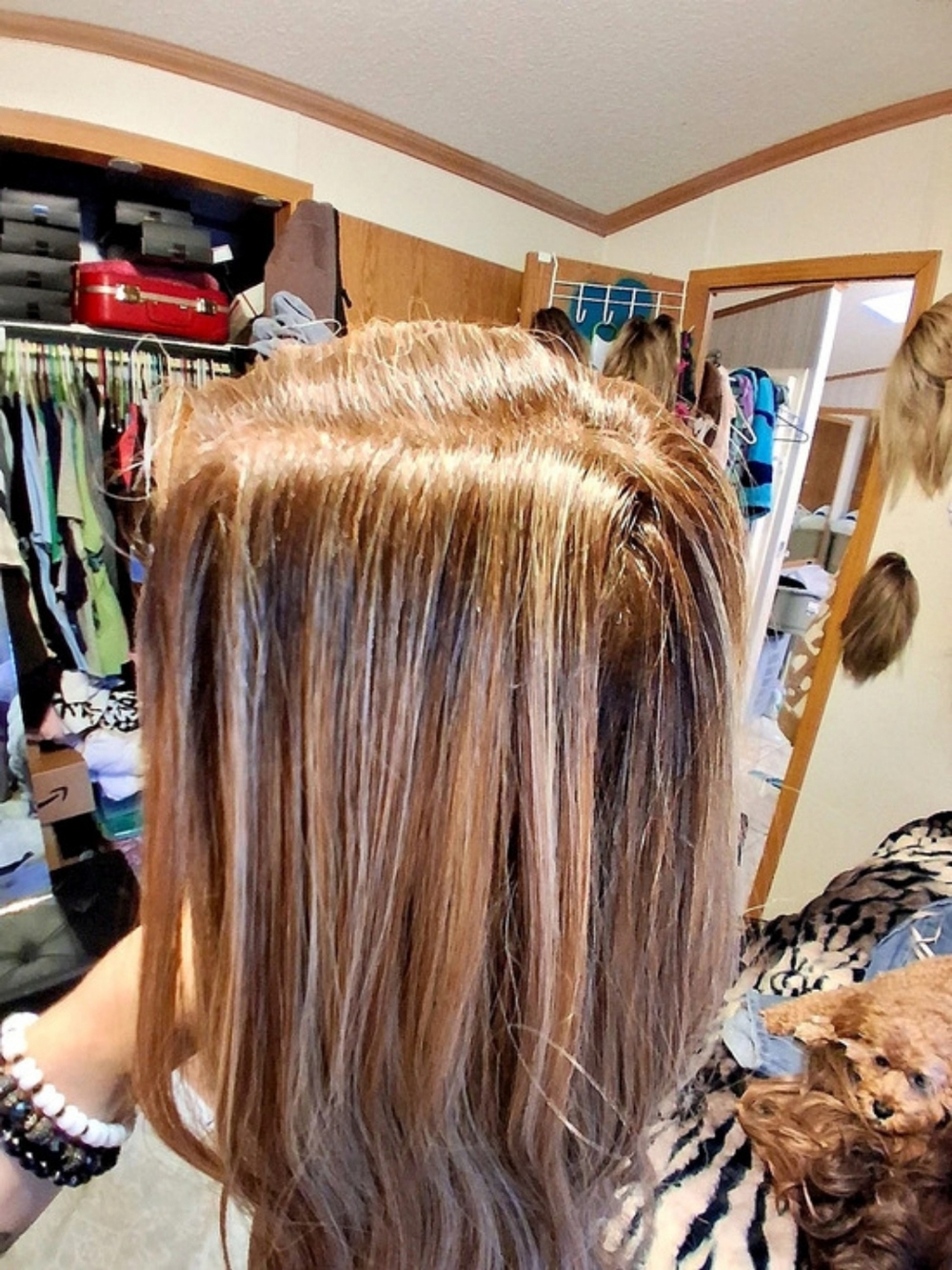 Monofilament - Picture 7 of 9